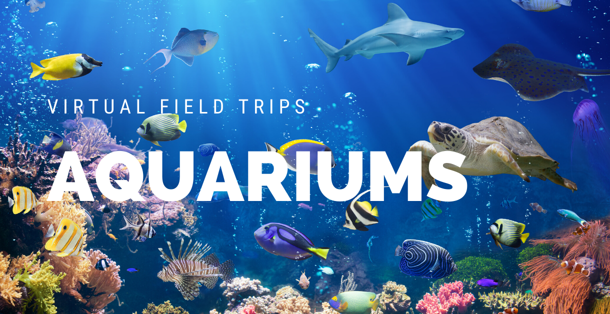 free virtual field trips aquarium